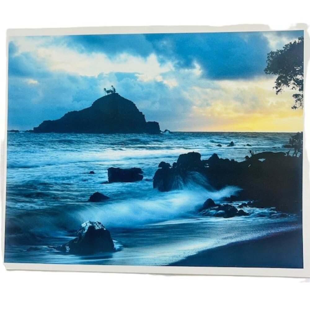 Alau Island by Kamo Vibrant Print CO12 14 x 11.2 in Unframed Read